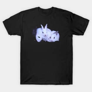 The rabbit Ladies / Swiss Artwork Photography T-Shirt